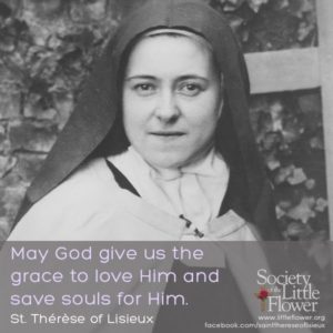 St. Therese's Daily Reflections - Society of the Little Flower